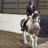 CAROL CARR's avatar