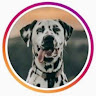 polka_dot_loki's avatar