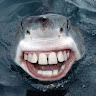 Mark Flute's avatar