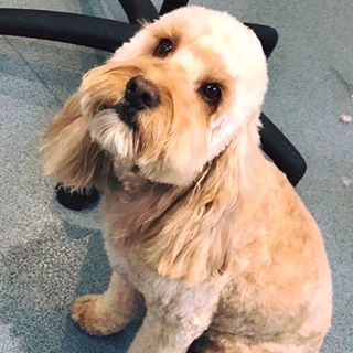 Sue Shutler's avatar