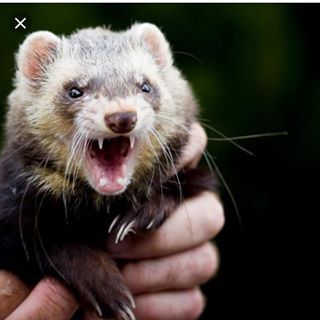 Shane Wisker's avatar