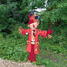 Graham Davis's avatar