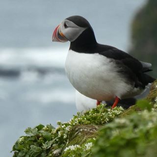 Jane Daffern's avatar