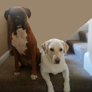 Ian Littlejohn's avatar