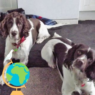 Georgina Shackleton's avatar