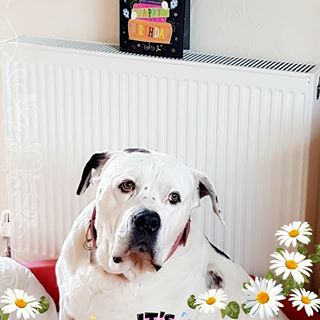 Amanda Jane Manson's avatar