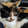 Bex W's avatar