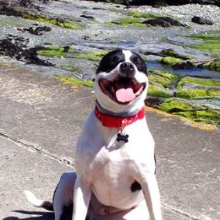 Helen Bunch's avatar