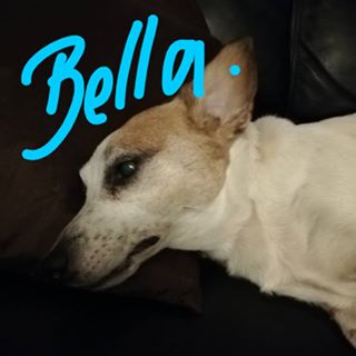 Christine Sharlotte's avatar