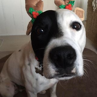 Andrea Chapman's avatar