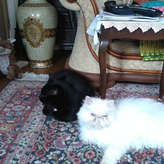 Linda Slater's avatar