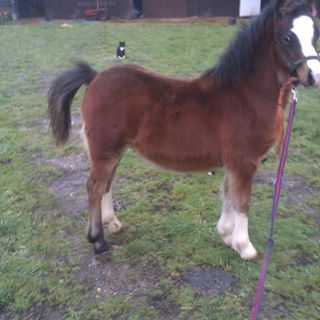 Tina Morley's avatar