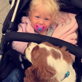 Josephine Lynn's avatar