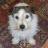 Helen Millership's avatar