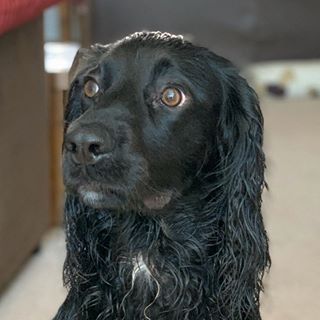 Philip Vial's avatar