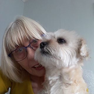 Stella Sale's avatar