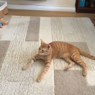 Emmet Orton's avatar