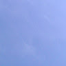 Asvini Uthayan's avatar