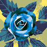 Diane Niven's avatar