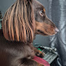 Julie Barber's avatar