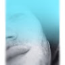 Mrrr Man Him-Self's avatar