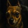Kyle's avatar