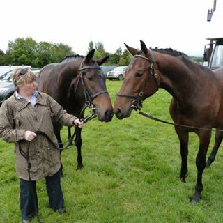 Sharyn Alexander's avatar