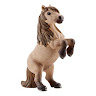 Kelly Mahoney's avatar