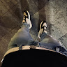 g fall's avatar