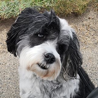 Keith Mortimer's avatar