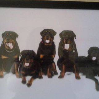 Tina Gibson's avatar