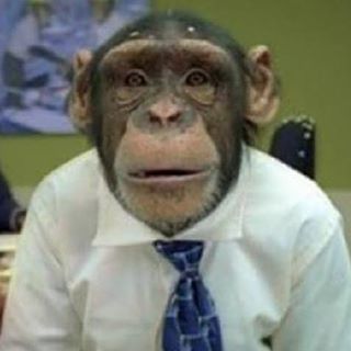 Lyndon Rowley's avatar