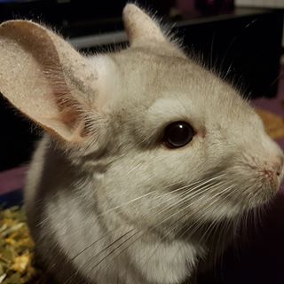 Karen Smith's avatar