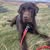 Amy Louise Heather's avatar