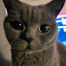 Benjamin Woodcock's avatar
