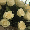 {"display":"Hollie Shaw","full_name":"Hollie Shaw","avatar":{"url":"\/assets\/uploads\/avatars\/users\/1694974.png"}}'s avatar