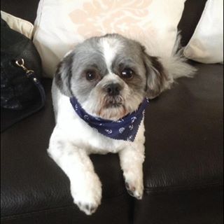 Helena Foreman's avatar