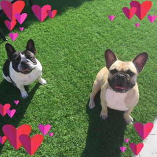 Diane Summers's avatar