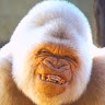 Sam Smith's avatar
