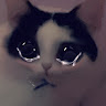sarah jane's avatar