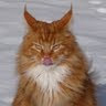 Richard Burr's avatar