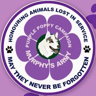 Paul Crouch's avatar