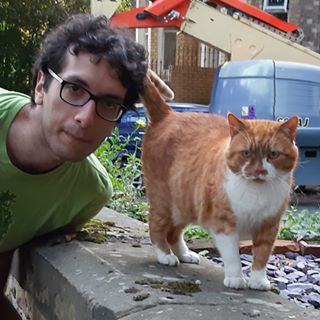 Cesare G. Ardito's avatar