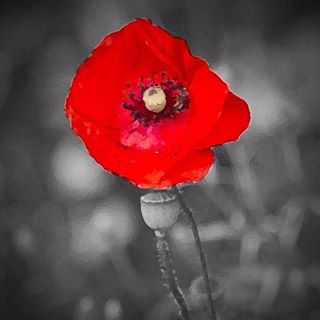 Simon Ambler's avatar