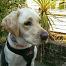 Joanne Jack's avatar
