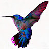 Vicki Henderson's avatar