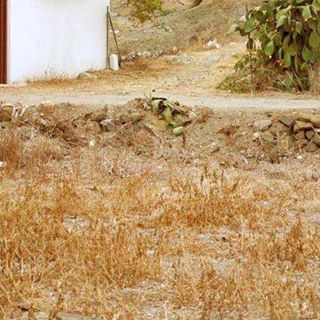 Kavin Kelly's avatar