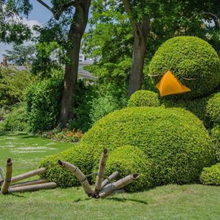 David Saunders's avatar