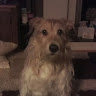 Melanie Jones's avatar