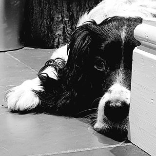 Tim Widdows's avatar